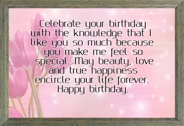 Happy Birthday Text To A Crush Happy Birthday Text To A Crush