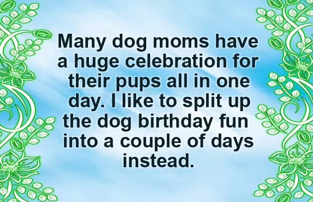 Happy Birthday Dachshund Happy Birthday Dachshund