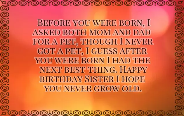 Little Sister Birthday Funny Quotes Little Sister Birthday Funny Quotes