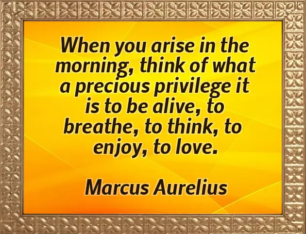 Good Morning All Family Members Good Morning All Family Members