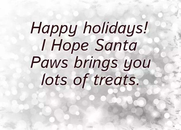 Dog Christmas Greetings