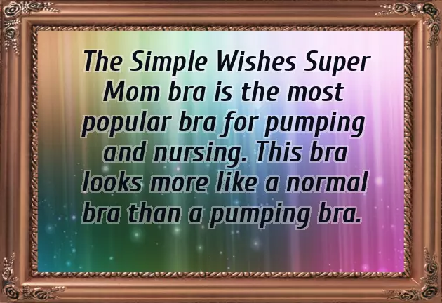 Simple Wishes Pump Bra Simple Wishes Pump Bra