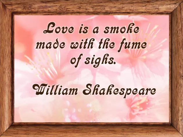 Shakespeare Quotes From Plays Shakespeare Quotes From Plays