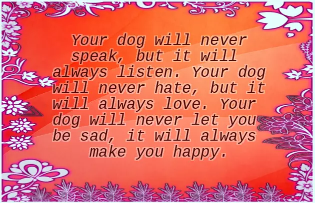 Congrats On Your New Puppy Congrats On Your New Puppy