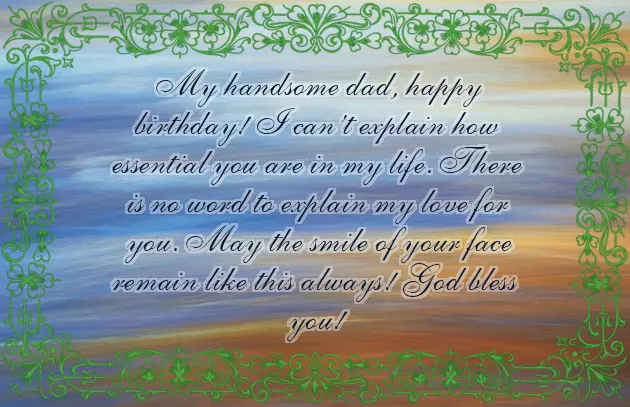 Birthday Caption For Father Birthday Caption For Father