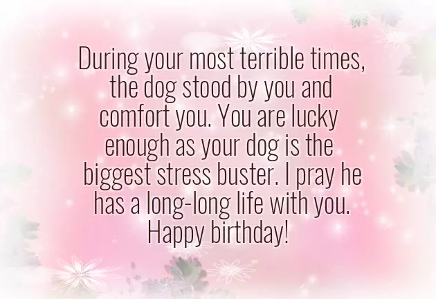 Happy Birthday Animals Happy Birthday Animals