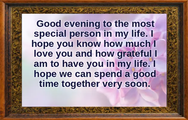 Have A Nice Evening My Love