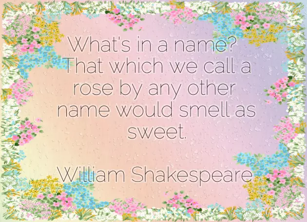 Good Morning Wishes Rose Flower Good Morning Wishes Rose Flower