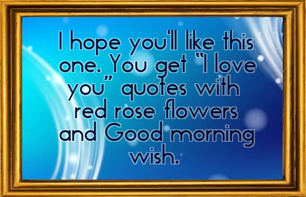 Good Morning Message With Red Rose Good Morning Message With Red Rose