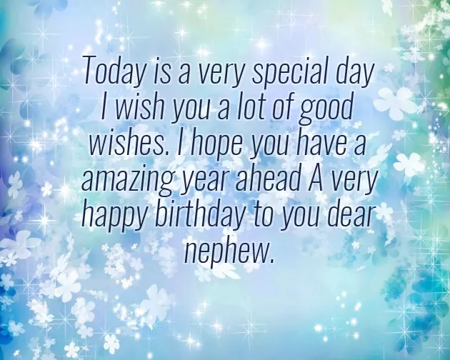 Birthday Quotes For Nephew Birthday Quotes For Nephew