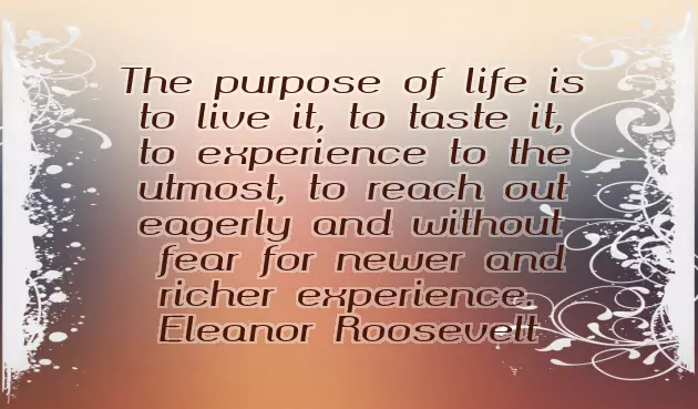 Best Congrats Quotes