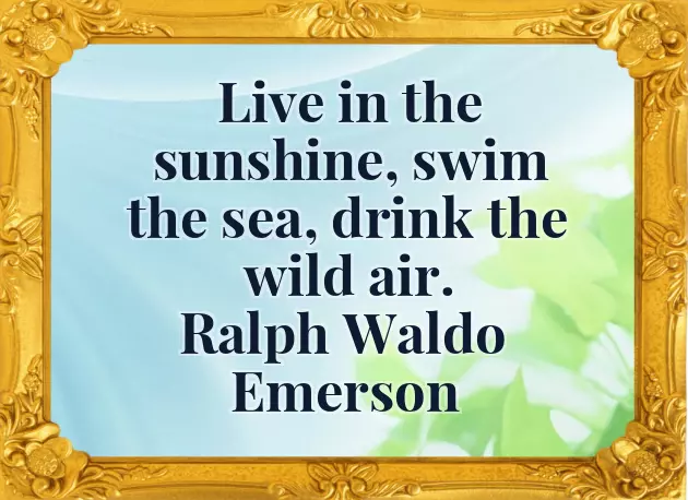 Wish You Success In Your Future Endeavors Wish You Success In Your Future Endeavors