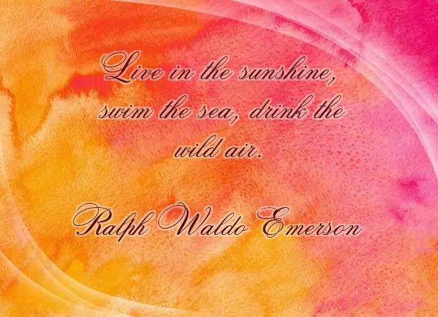 Fame Quotes Fame Quotes