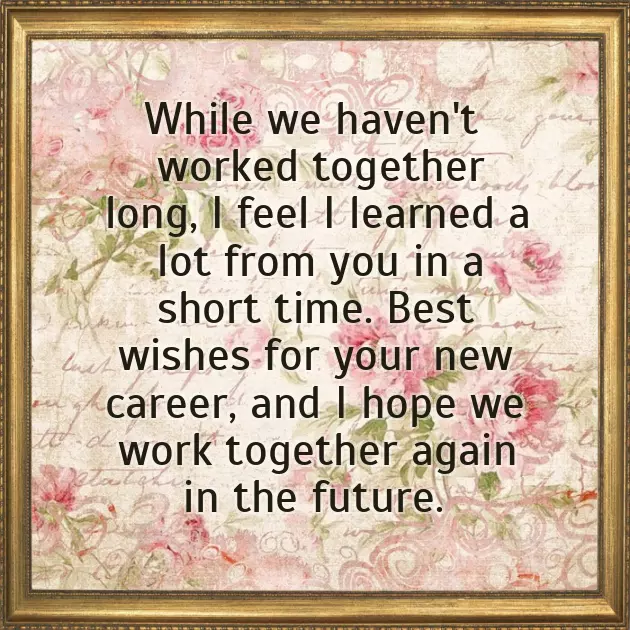 Congratulations On Your New Promotion Congratulations On Your New Promotion