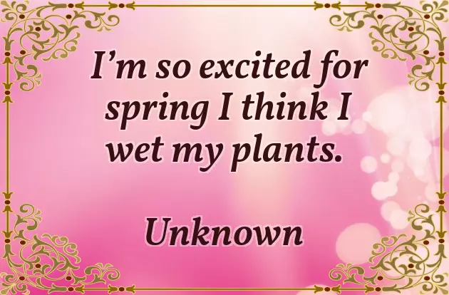 Happy Easter Wishes With Jesus Happy Easter Wishes With Jesus