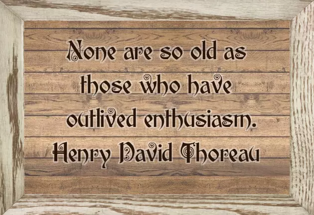 Happy Birthday To A Special Woman Happy Birthday To A Special Woman