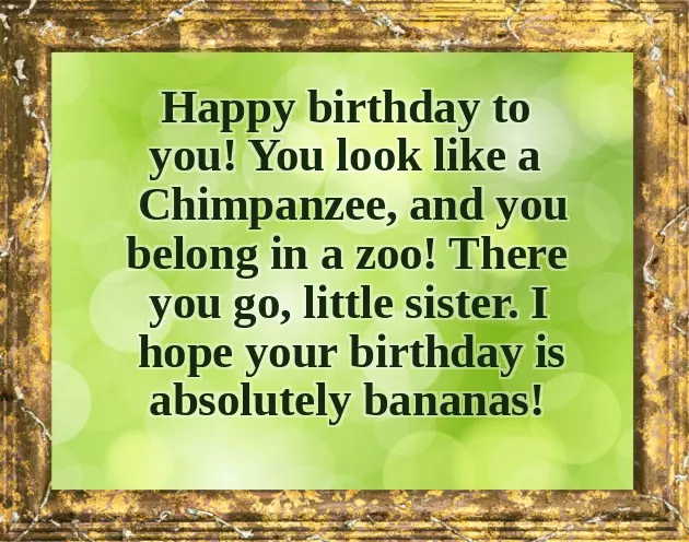 Happy Birthday Crazy Sister