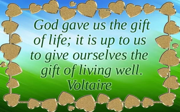 Bday Quotes Bday Quotes