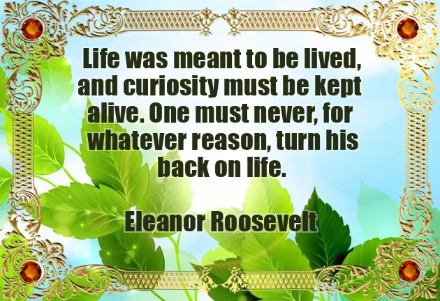 Unknown Quotes Unknown Quotes