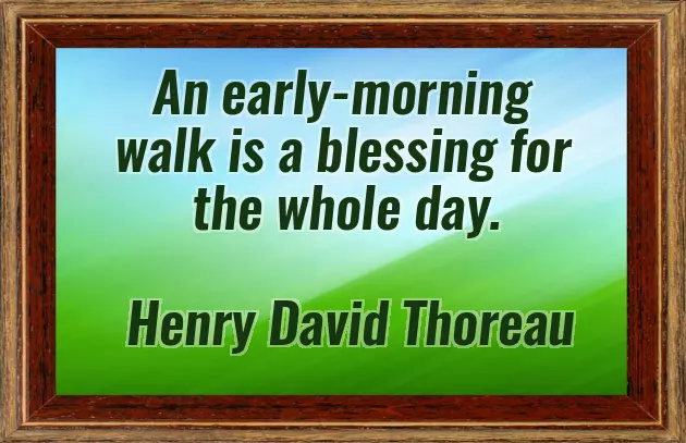 Amazing Good Morning Message Amazing Good Morning Message