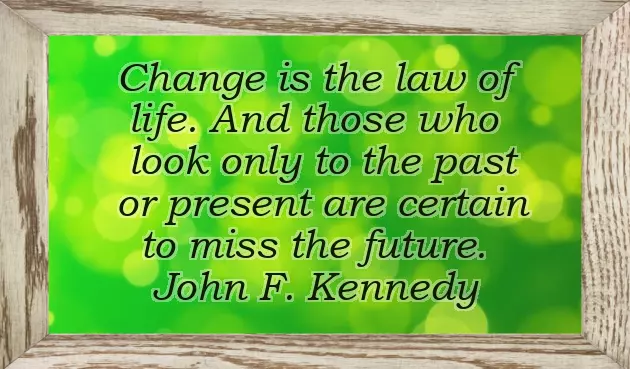 Live Your Own Life Quotes