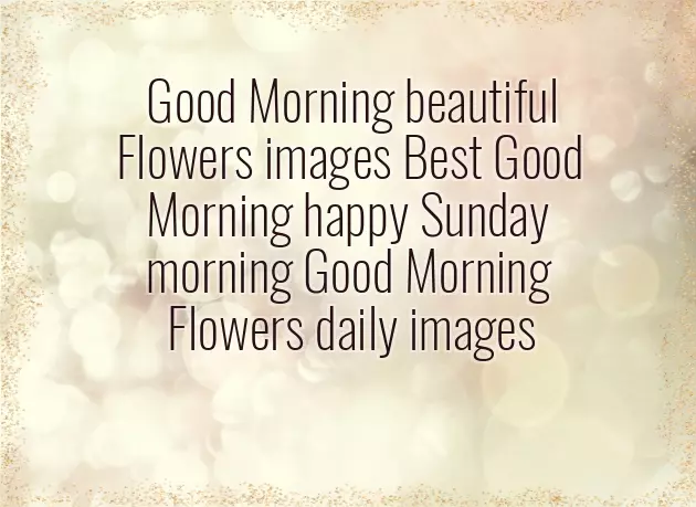 Good Morning Wishes With Roses Good Morning Wishes With Roses