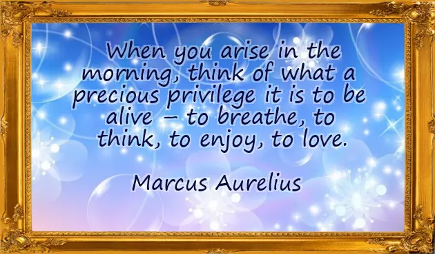 Morning Motivation Msg Morning Motivation Msg