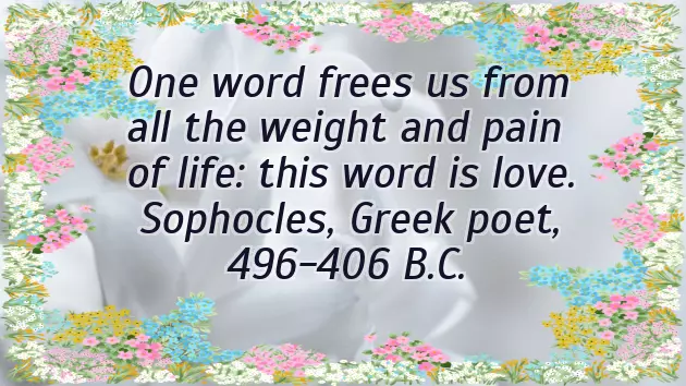 Happy Wedding Anniversary My Love Happy Wedding Anniversary My Love