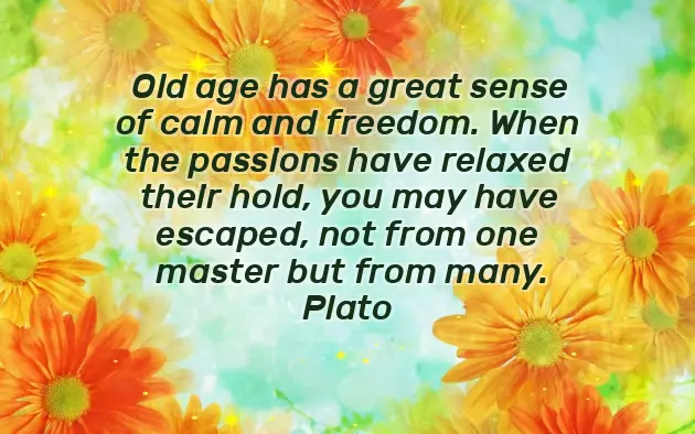 Funny Birthday Quotes For Kids Funny Birthday Quotes For Kids