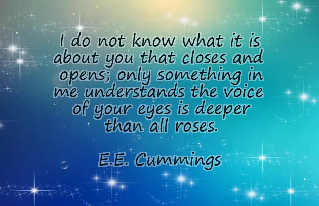 Whatsapp Wedding Invitation Quotes Whatsapp Wedding Invitation Quotes