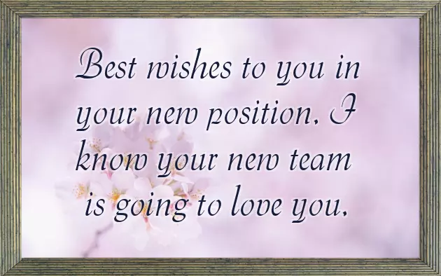 Congratulations For New Job