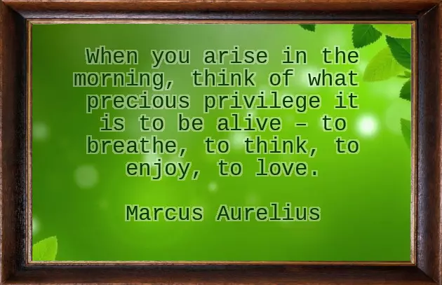 Spiritual Energy Quotes