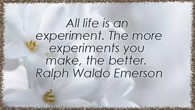 Best Of Luck For Future Quotes