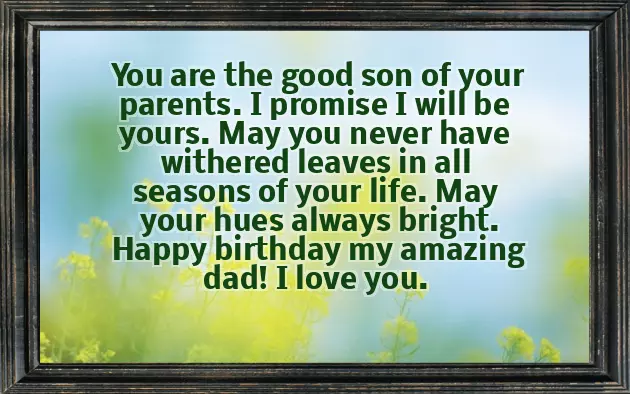 Happy Birthday My Hero Dad Happy Birthday My Hero Dad