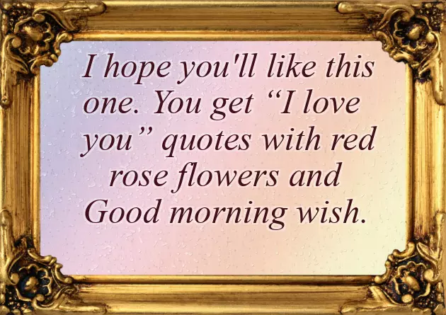 Rose Flower Good Morning Message