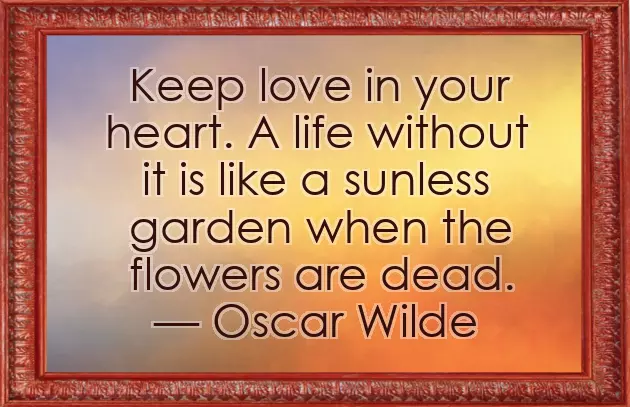 Quotes About Emotions And Feelings Quotes About Emotions And Feelings