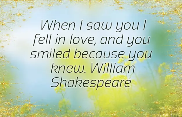 Marriage Memories Quotes Marriage Memories Quotes