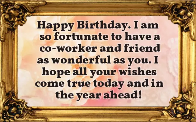 Happy Birthday Partner Funny Happy Birthday Partner Funny