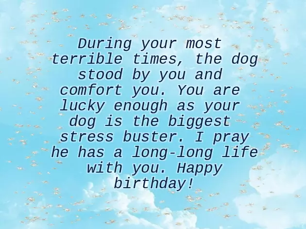 Birthday Dog Birthday Dog