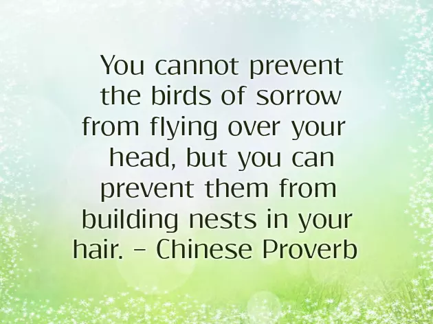 Happy Prosperous Chinese New Year