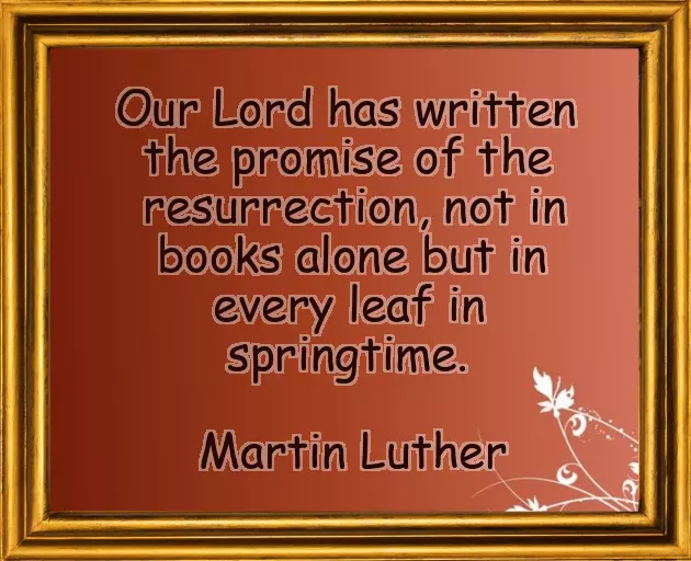 Easter Sunday Wishes Message Easter Sunday Wishes Message