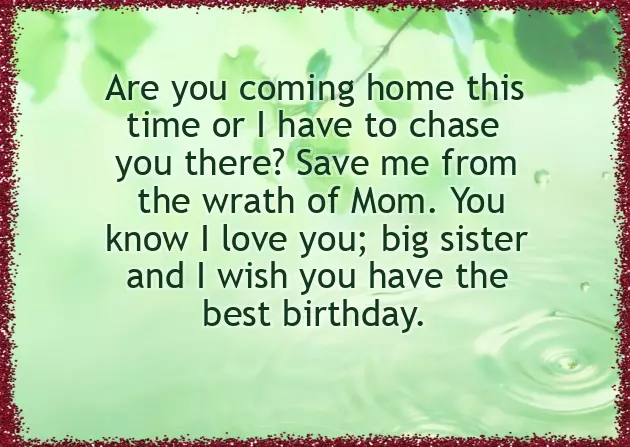 Happy Birthday Quotes For Younger Brother Happy Birthday Quotes For Younger Brother