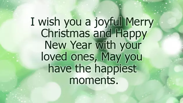 Merry Christmas Coworkers Funny Merry Christmas Coworkers Funny