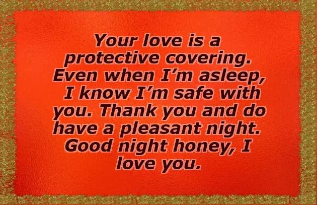 Good Night Wish To My Wife