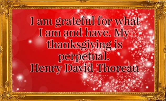 Thanks Message For Birthday Wishes Thanks Message For Birthday Wishes