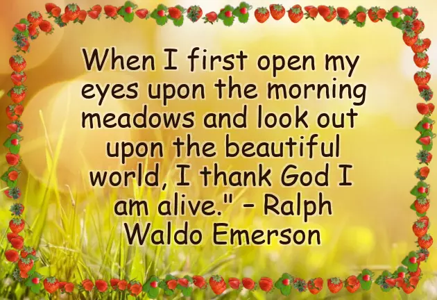 Good Morning With Saturday God