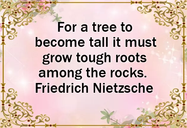 Happy Birthday To My Favourite Nephew Happy Birthday To My Favourite Nephew