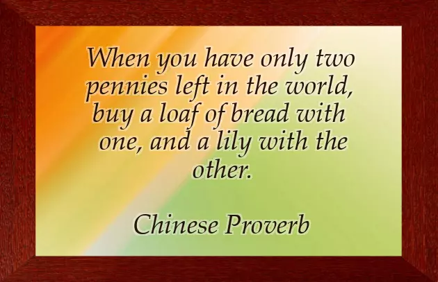 Quotation Of The Day