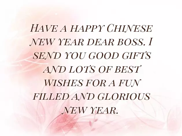 Funny Chinese New Year Wishes Funny Chinese New Year Wishes