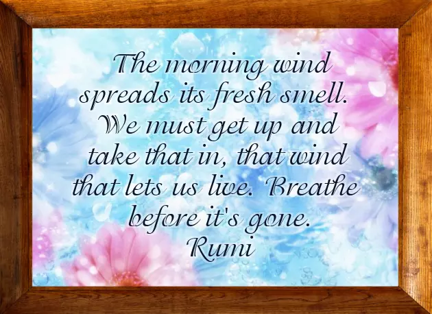 Morning Wishes To My Love Morning Wishes To My Love